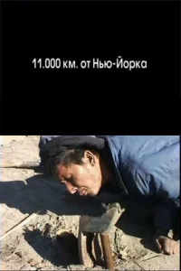 11.000 كيلومتر من نيويورك