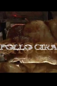 pollo گایا