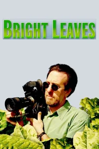 أوراق Leaves المضيئة