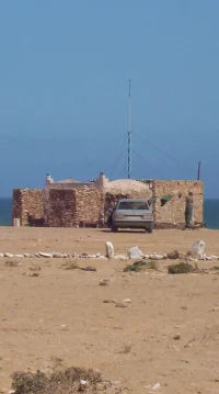 ترافایا