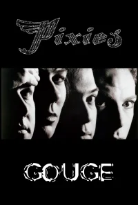 سفیدهای Pixies: پیوستگی