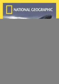 نهنگ ها در بحران