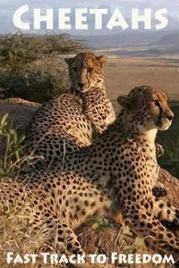 گاتها: مسیر سریع به آزادی