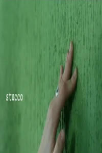 استوکو