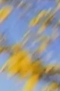 خواهم دید چگونه می نگری