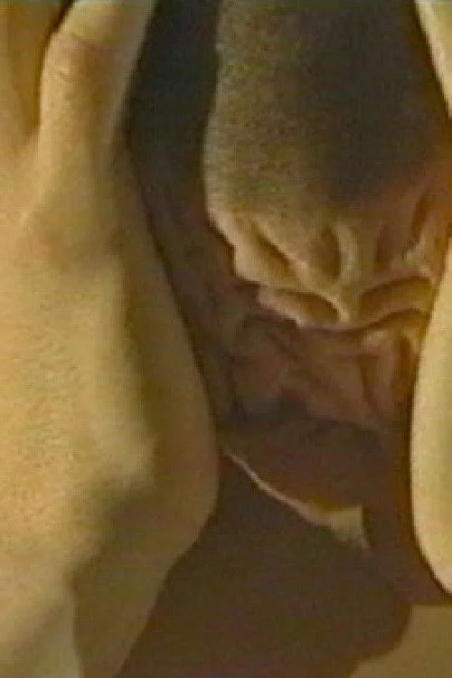 خانه شرق