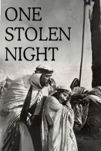 یک شب دزدیده شده