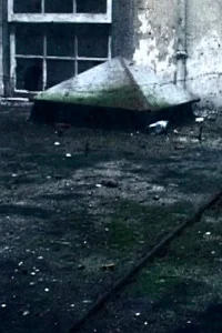 بر جای مانده ها
