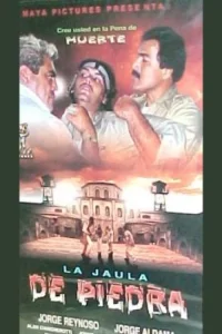 قفس سنگی
