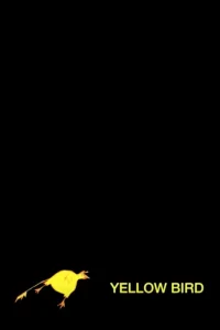 افتتاحية