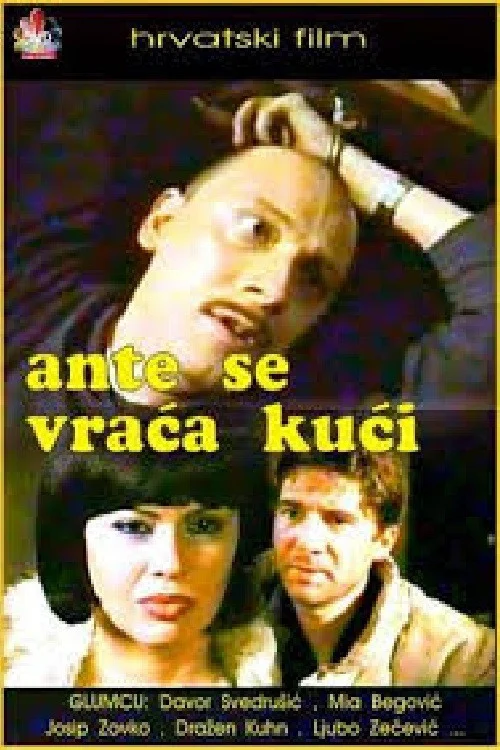 بازگشت آنت به خانه