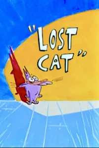 lost cat