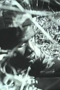عوام من الحرب - غينيا 1963-1974