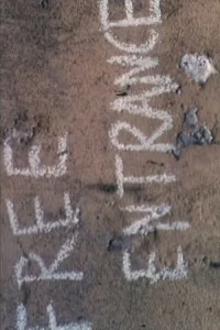 ورودی آزاد