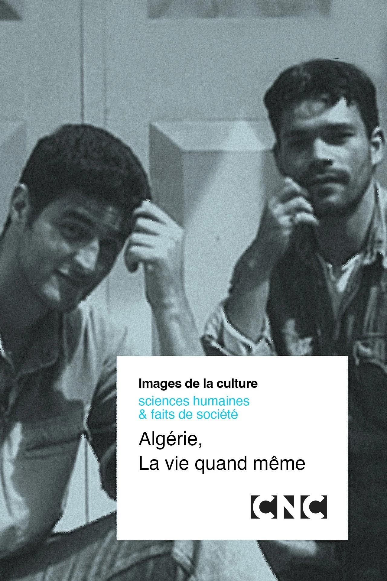 الجزایر، زندگی همچنان