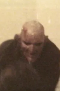 جاقدار جک بهار
