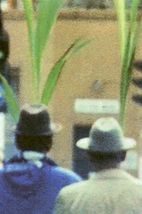 خروج از خانه