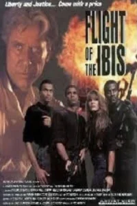پرواز ibis