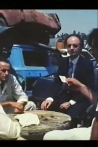 دادگاه زباله‌ها