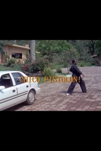چیکو تفنگدار