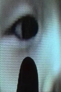 پنهان شدن در ماه دسامبر