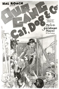 گربه، سگ و دوستان