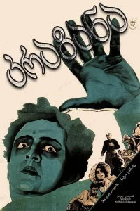 مگس