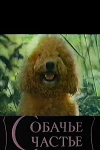 خوشبختی سگ