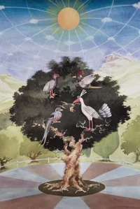 تولپاشتخ