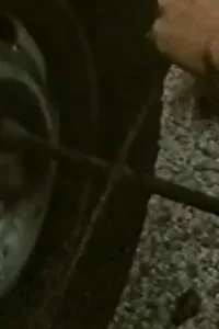 گناه