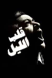هستهٔ شب