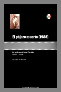 El pájaro muerto