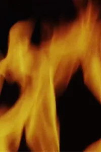 تسلی ها (عشقی که هنر زمان است) بخش سوم: بدن و جهان