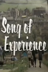آواز تجربه