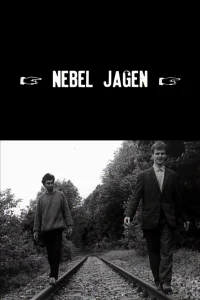 دنبال گمانه هاى مه آلود