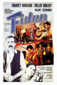 فیدن