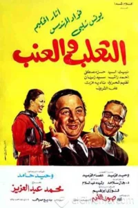 گراز و شاه میوه