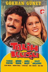تلقی کوشو