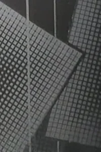 نبض