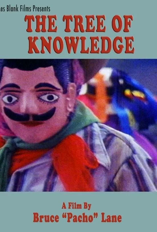 درخت دانش