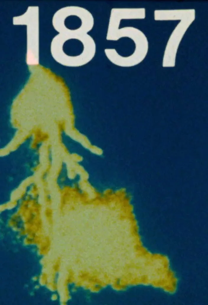 1857 (طلای احمقانه)