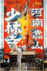 برگشت به معبد Shaolin