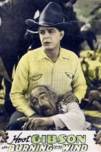 حرارة الريح