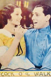 خروس میدان