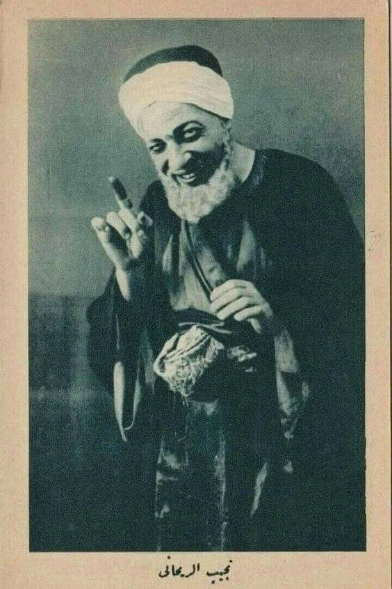 عالیجناب کیش کیش بی