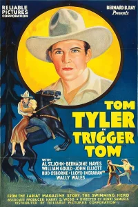 _trigger توم