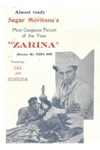 زاری娜