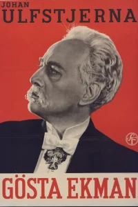 یوهان اولفستیرنا