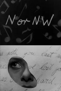 شمال یا شمال غربی