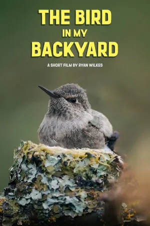 The Bird in My Backyard (ES)
